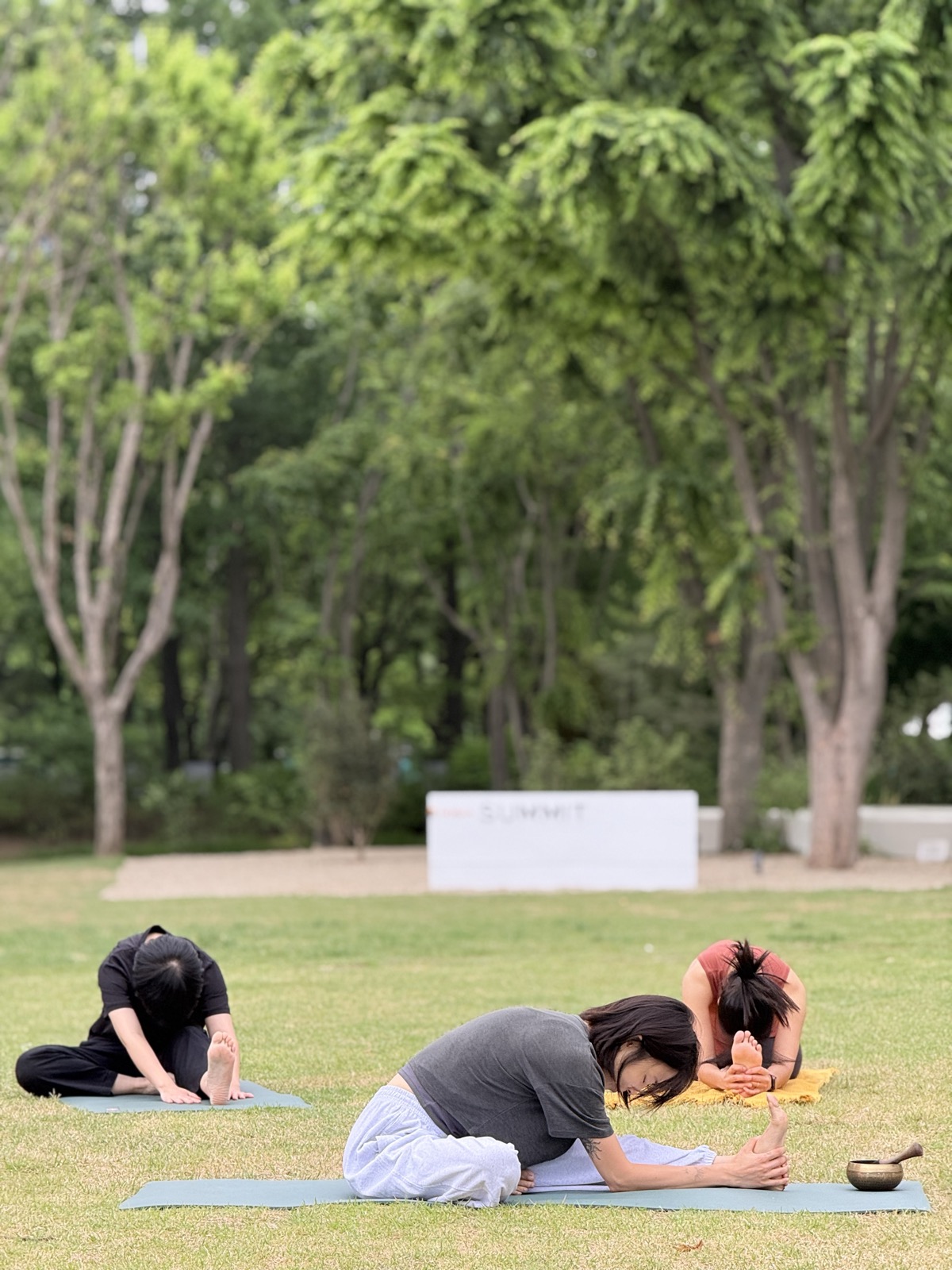 Han River backdrop during a morning yoga class