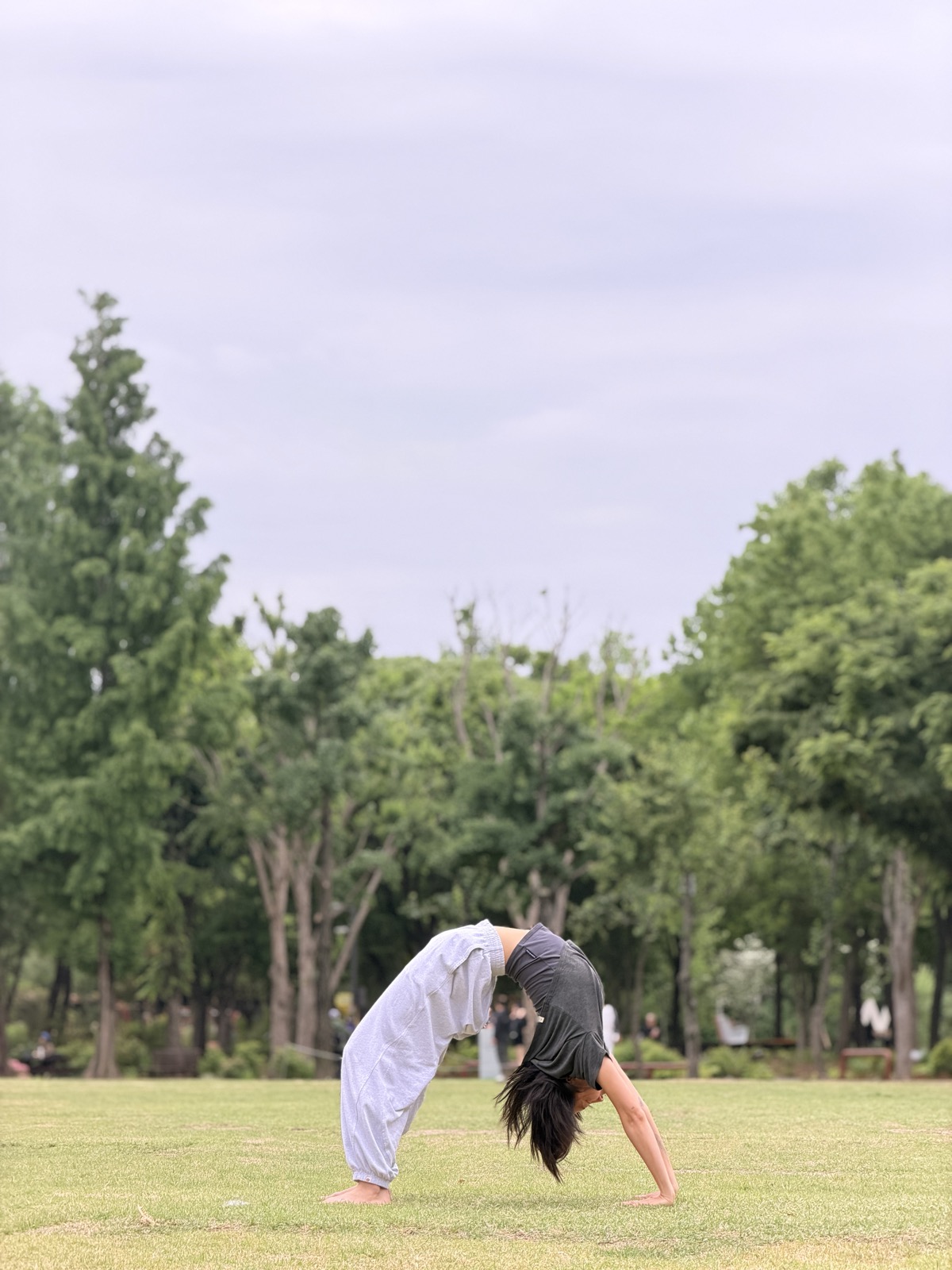 Wide shot of the yoga and tea gathering